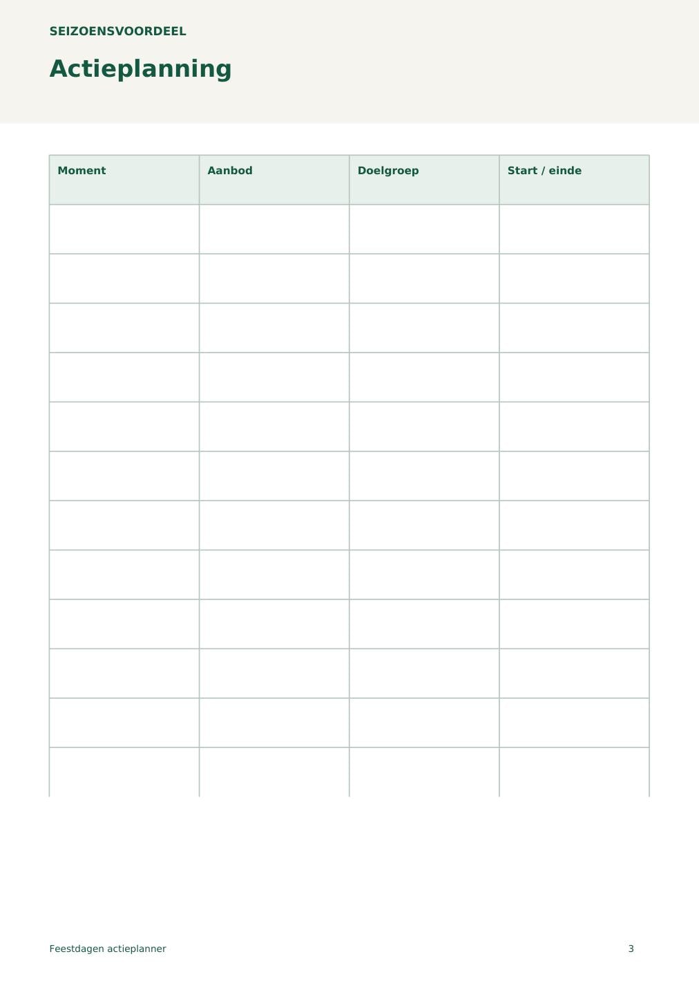 Feestdagen actieplanner – printbare A4 PDF in het Nederlands – digitale download
