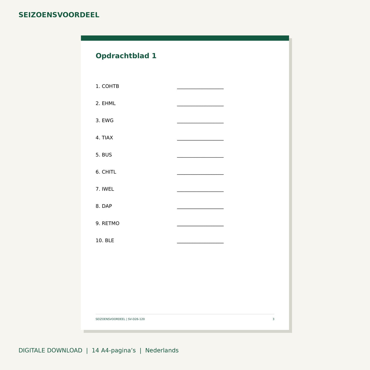 Verkeer woordhusselspel | Nederlandse A4 PDF | Digitale download