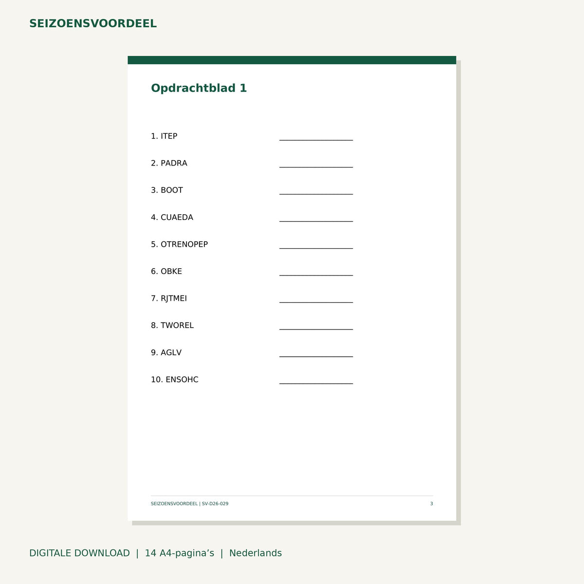 Sinterklaas woordhusselspel | Nederlandse A4 PDF | Digitale download