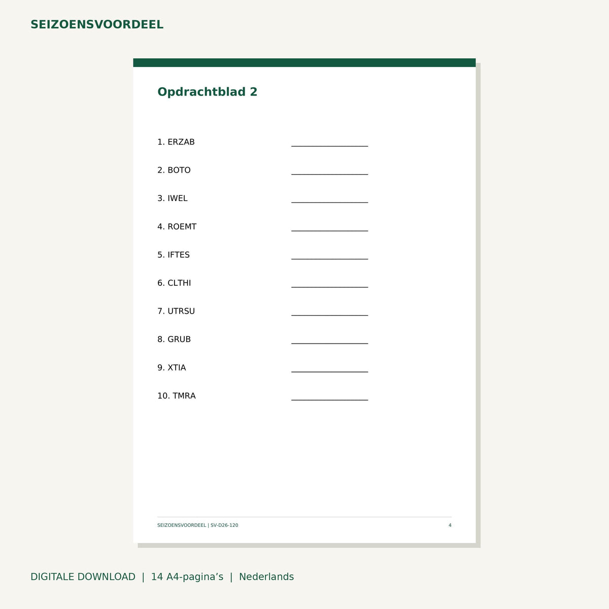 Verkeer woordhusselspel | Nederlandse A4 PDF | Digitale download