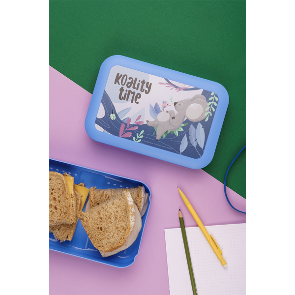 Amuse Plus Brooddoos Koality Time Large