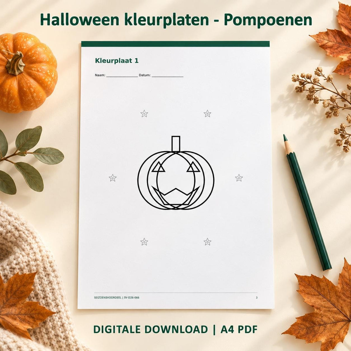 Halloween kleurplaten - Pompoenen | Nederlandse A4 PDF | Digitale download