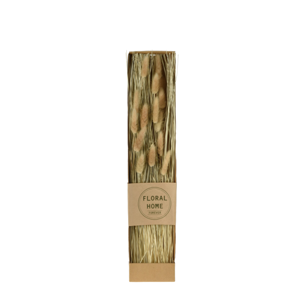 Droogbloemen Foxtail 60cm Bussel