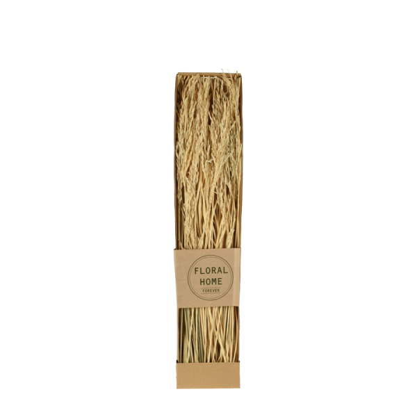 Droogbloemen Lagurus 60cm Bussel