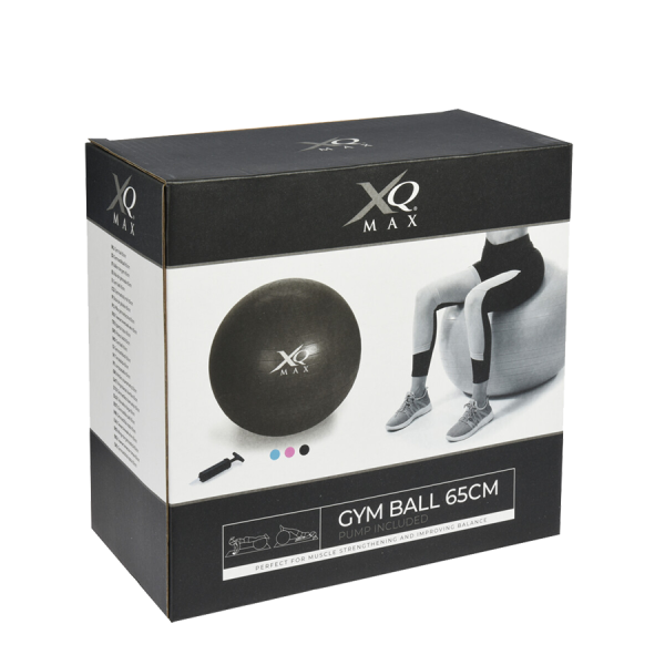 XQ Max Gym Ball Blue Ø65cm